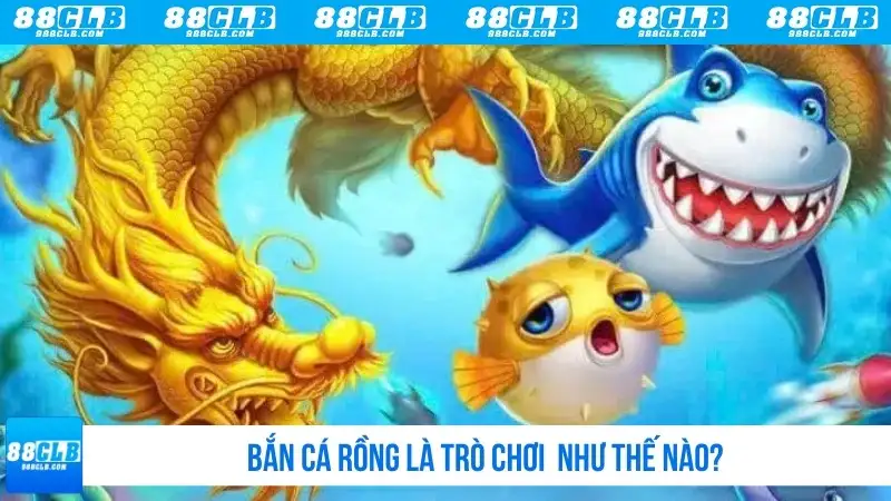 Bắn cá rồng là trò chơi như thế nào?