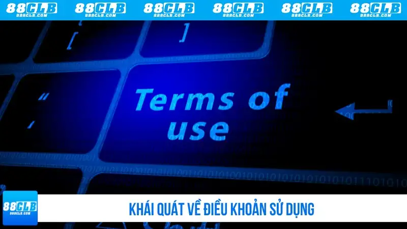 Khái quát về điều khoản sử dụng