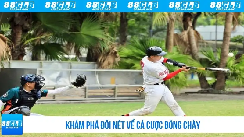 Khám phá về mẹo cược bóng chày