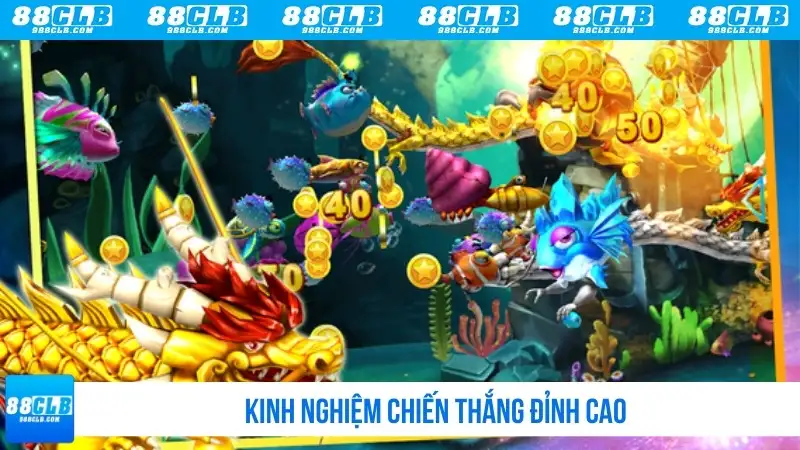 Kinh nghiệm chiến thắng đỉnh cao