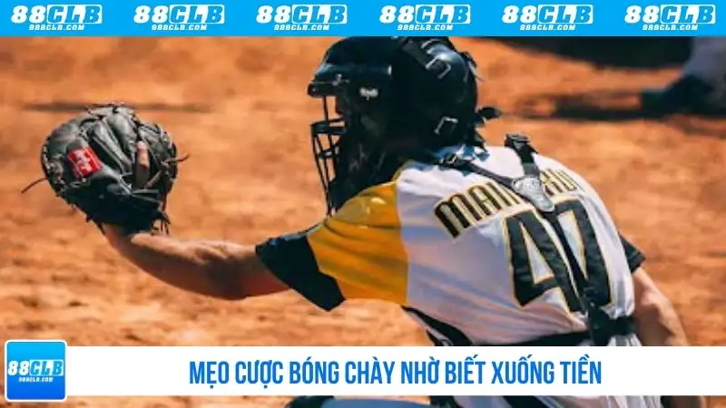 Mẹo cược bóng chày nhờ biết xuống tiền